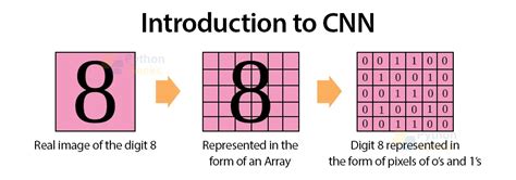 Convolution Neural Network Python 的图像结果