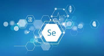 Learn Selenium Step by Step 的图像结果