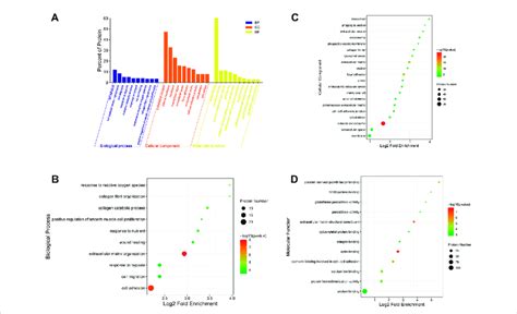 Image result for Go Annotation Analysis Step
