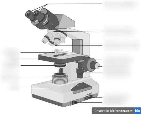 Image result for To Study Compound Microscope