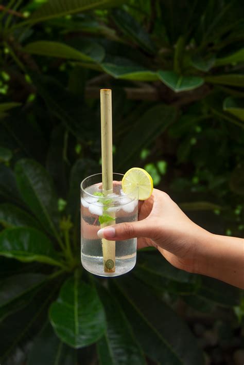 Handcrafted Bamboo Straw | Eco friendly, Sustainable | Set Of 5 ...