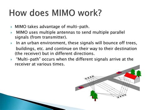 Image result for Mimo
