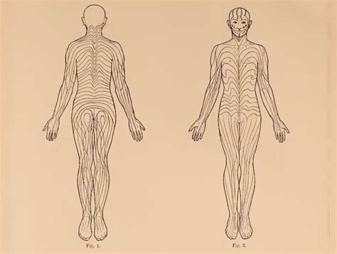 Así son las rayas invisibles que todos tenemos en la piel - La Tercera