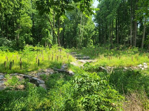 SPRING HILL REC CENTER - McLean VA - Hours, Directions, Reviews ...