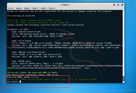 Sqlmap Tutorial Kali 的图像结果