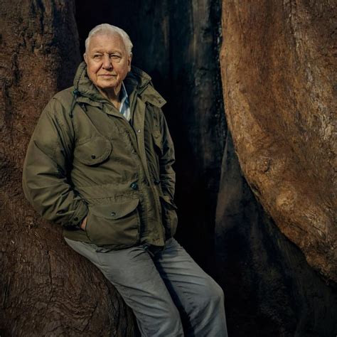 David Attenborough Net Worth 2025 & Life Insights