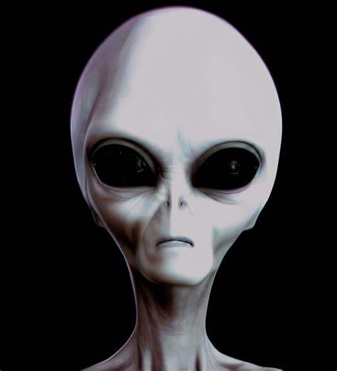 Alien Arten 的图像结果