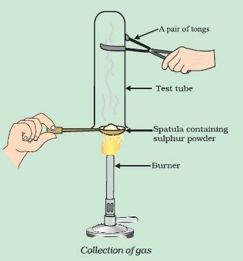 Pratyush took sulphur powder on a spatula and heated it. He collected ...