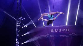 'Use A Net': 27-Year-Old Trapeze Artist Plunges To Death Mid ...