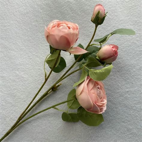 Gadget Ninja - Make Life Better - Official Website