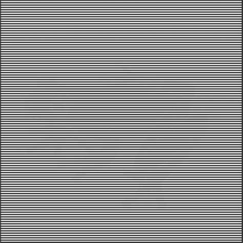 Only People With IQ Higher Than 200 Can Spot The Hidden Animal In 12 ...