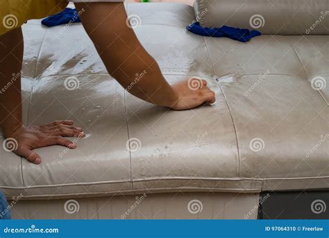 Cleaning leather sofa stock photo. Image of dirty, household - 97064310