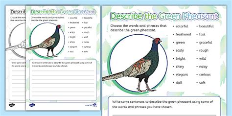 Describe the Green Pheasant Worksheet