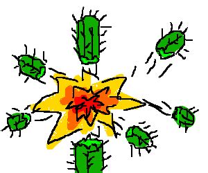 Image result for Exploding Cactus Prank