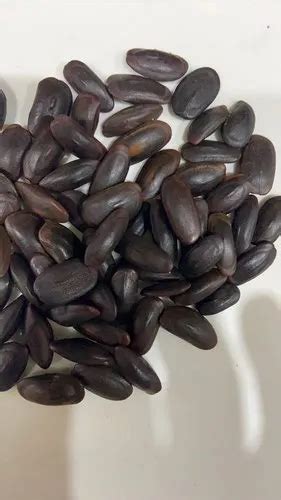 Manufacturer of Agriculture Seeds & Forestry Seeds by Suresh Forestry ...