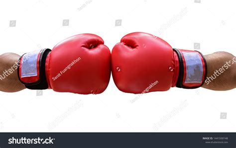 拳击 的图像结果