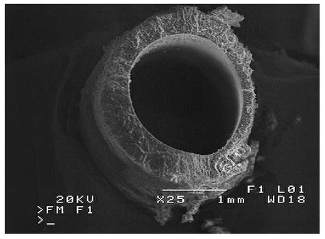 Degradation of Polypropylene Membranes Applied in Membrane Distillation ...
