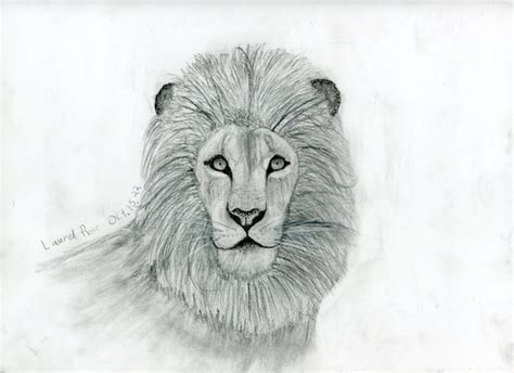 Lion Drawing Tutorial 的图像结果