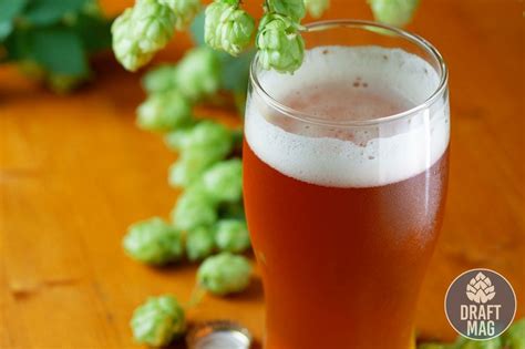 Image result for IPA Beer Examples Most Popular
