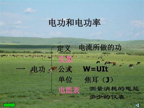 电功率 的图像结果