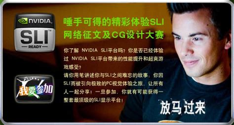 Scalable Link Interface 的图像结果