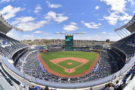 Reat MLB 的图像结果