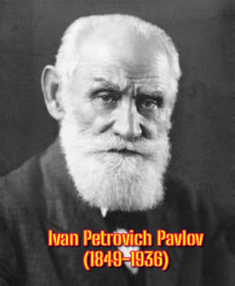 প্যাভলভের প্রাচীন অনুবর্তন তত্ত্ব (Classical Conditioning theory of ...