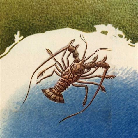 Buy Antiguos Maps - Mapa Pictorico de Mexico - Pictoral Map of Mexico ...