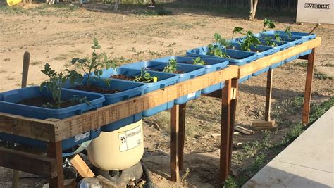 DIY Raised Garden Beds Using Plastic Tubs