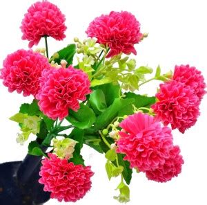 West World India Red Carnations Artificial Flower Price in India - Buy ...