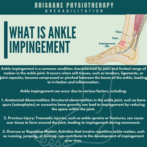 What Is Ankle Impingement - Brisbane Physiotherapy & Podiatry
