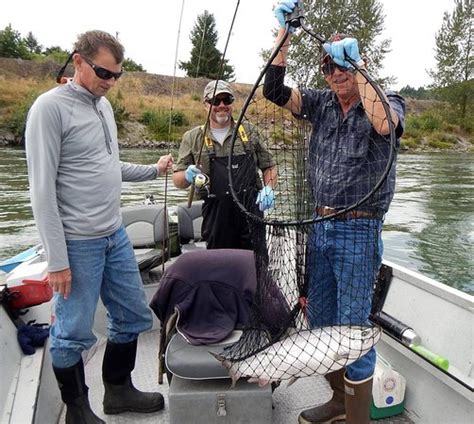 RK River Fishing (Chehalis) - 2022 What to Know Before You Go (with ...