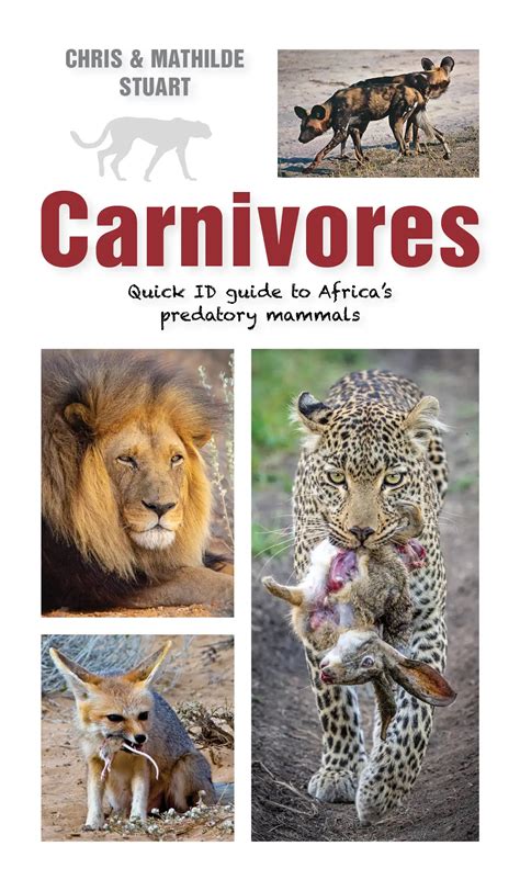 Carnivore Animals Page 2 | Carnivore Animals Vectors & Illustrations