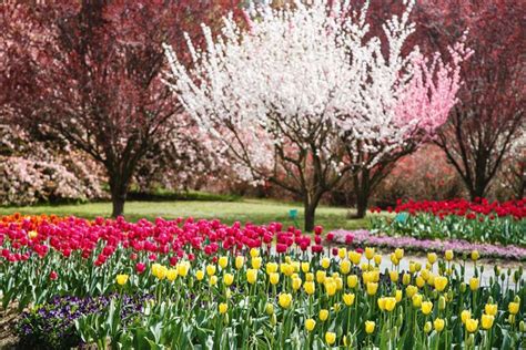 Image result for Spring Boot Default JSON Exception