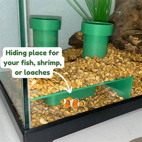 Chatelet REEFSHAPE Pipe Design Aquarium Viewing India | Ubuy