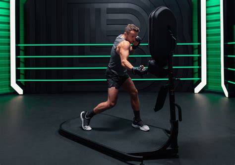 Image result for Basic Boxing Form