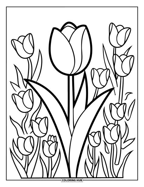 115+ Tulip Coloring Pages for Kids & Adults (Free Printable PDFs)