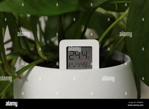 Image result for Flower Pot with Humidity Sensor