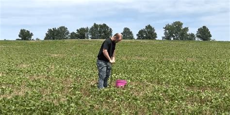 Image result for Hand Sampling