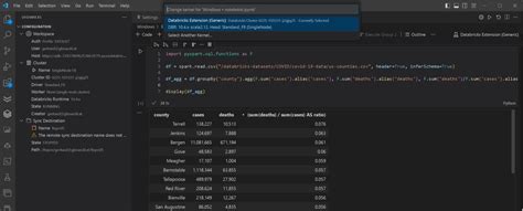Image result for Databricks Vscode Extension V2