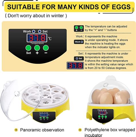 Buy Sailnovo Incubators for Hatching Eggs, 6 Egg Incubator with ...