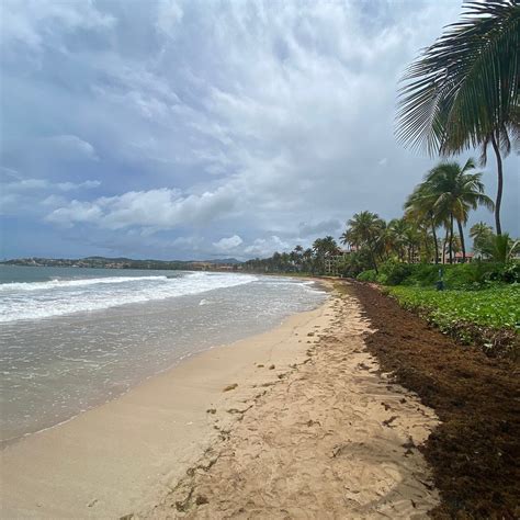 PALMAS DEL MAR BEACH (2025) All You Need to Know BEFORE You Go (with ...