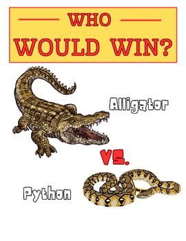 Image result for Alligator Vs Python Read Aloud