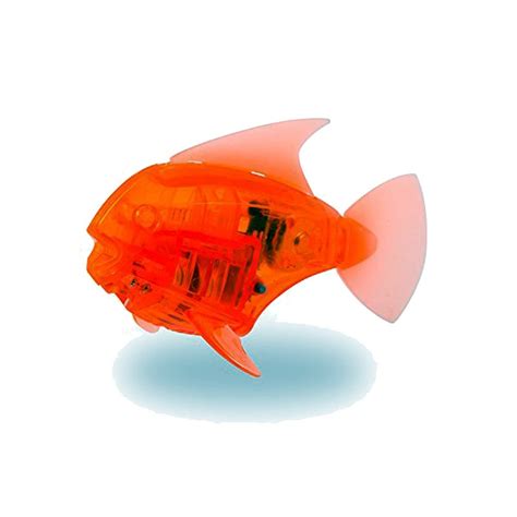 Buy Hexbug Aquabot 2.0 Angel Fish - Orange Online at Low Prices in ...