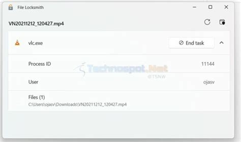 How to Find What Program Has File Open 的图像结果