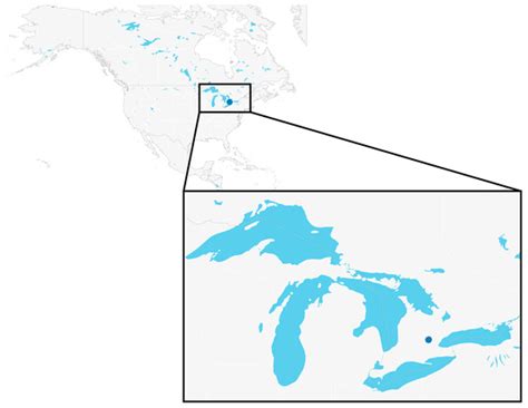 Validation of an Effective Protocol for Culicoides Latreille (Diptera ...