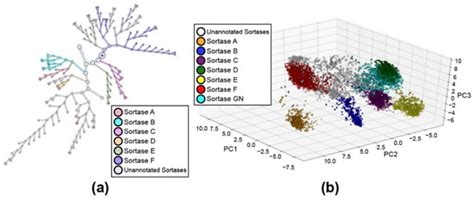 Comparative Analysis and Ancestral Sequence Reconstruction of Bacterial ...