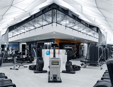 These 5 Stylish Gym Will Make You Go Healthy - lifeberrys.com