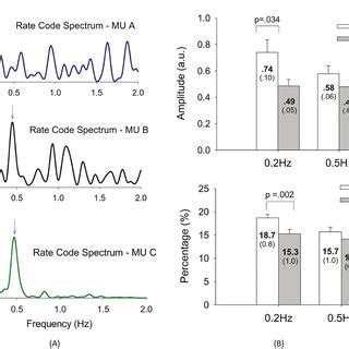 Image result for Rate Coding Sound Definition